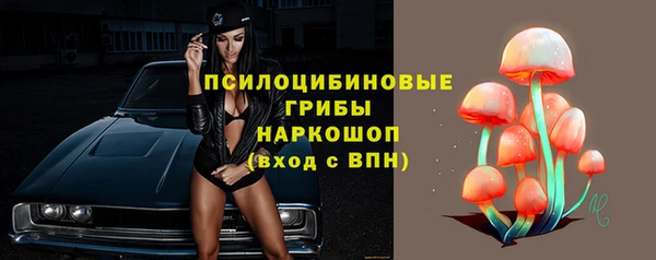 гашик Алзамай