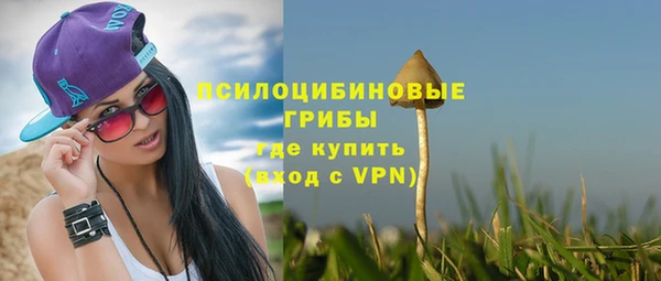 apvp Алексеевка