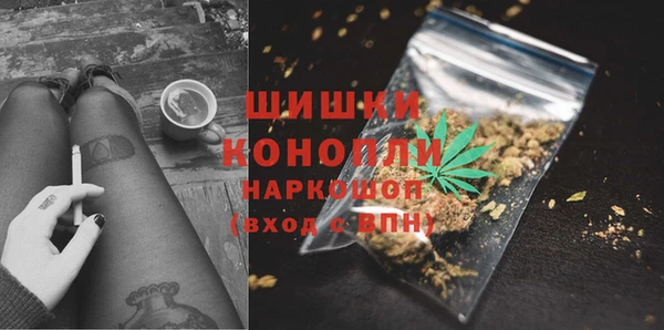 гашик Алзамай